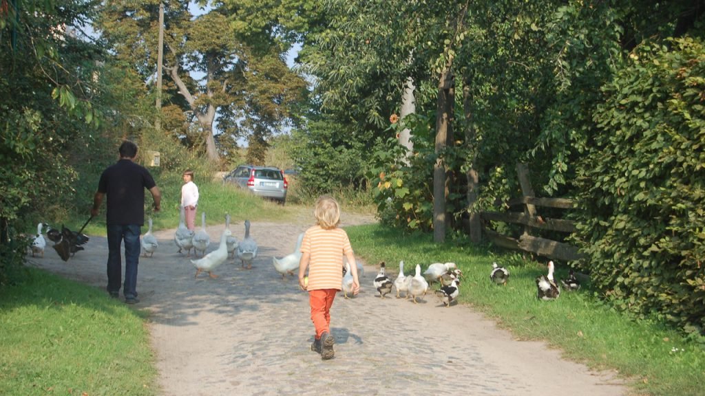 Dorfweg in Lüchow mit Kind und Gänsen