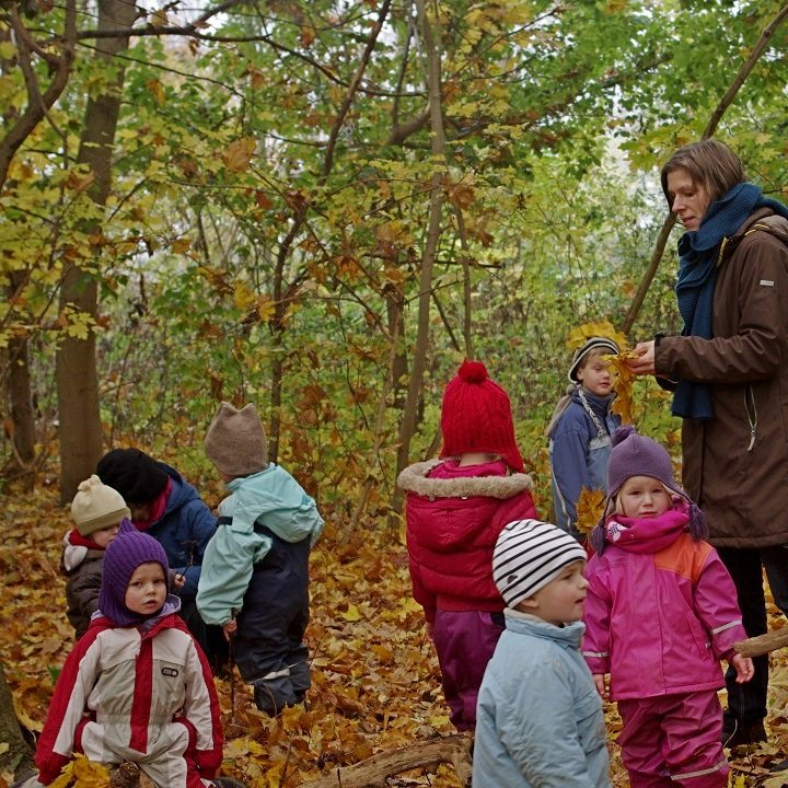 Kindergartenkinder im Herbstwald