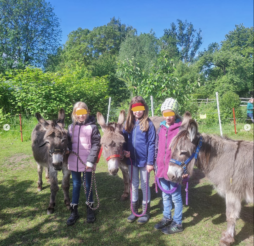 Schülerinnen und Schüler mit den Eseln