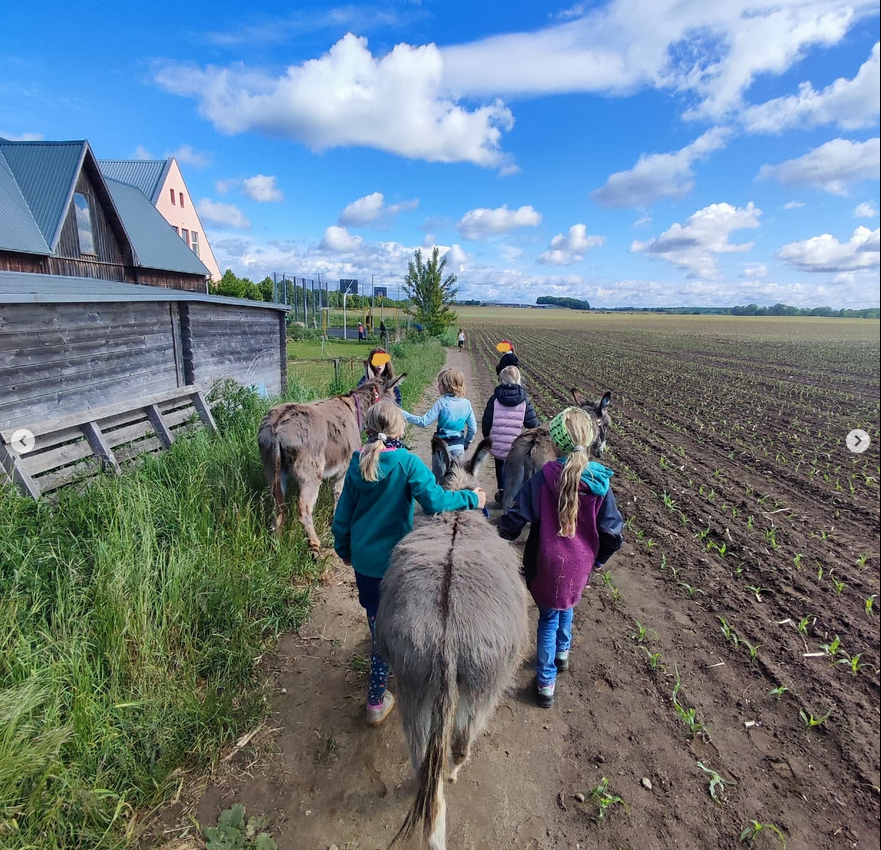 Kinder wandern mit den Eseln der Landschule